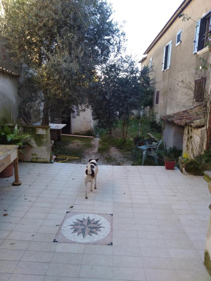 Casa Vacanza Zia Ersilia Rotondi Extérieur photo
