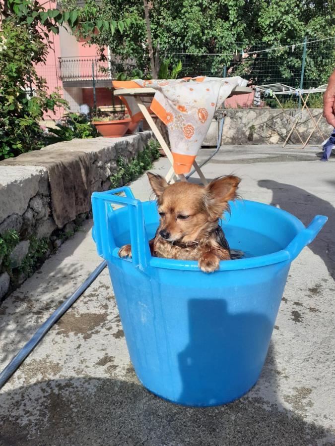 Casa Vacanza Zia Ersilia Rotondi Extérieur photo