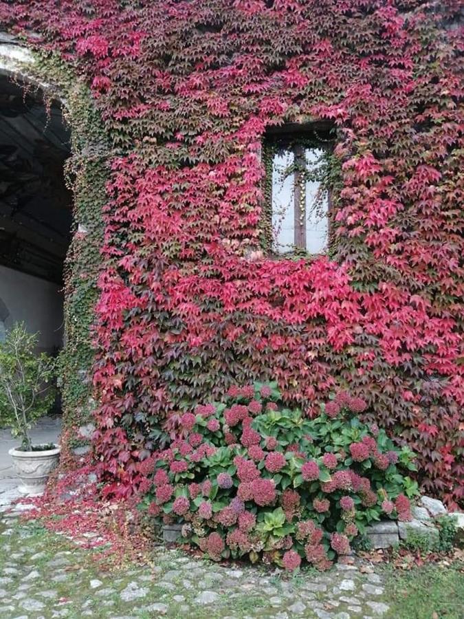 Casa Vacanza Zia Ersilia Rotondi Extérieur photo